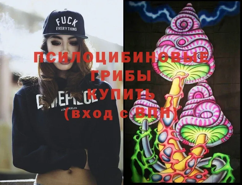 Псилоцибиновые грибы MAGIC MUSHROOMS  hydra как войти  Карабулак  наркота 